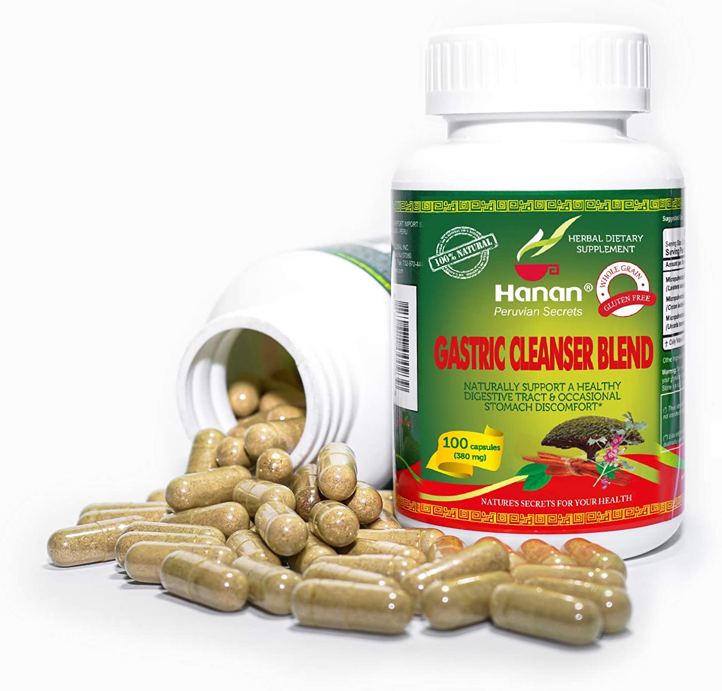 Gastrisan Gastric Cleanser Blend | 100 Capsules | Naturally Aids in Supporting Healthy Digestive Tract