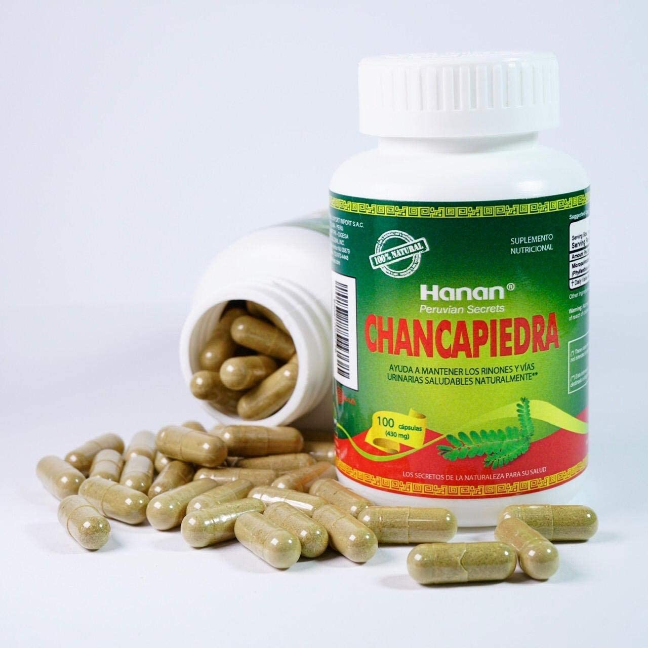 Chanca Piedra Stonebreaker | 100% Natural | 100 Capsules | Aids in Promoting Normal Kidney Function Naturally