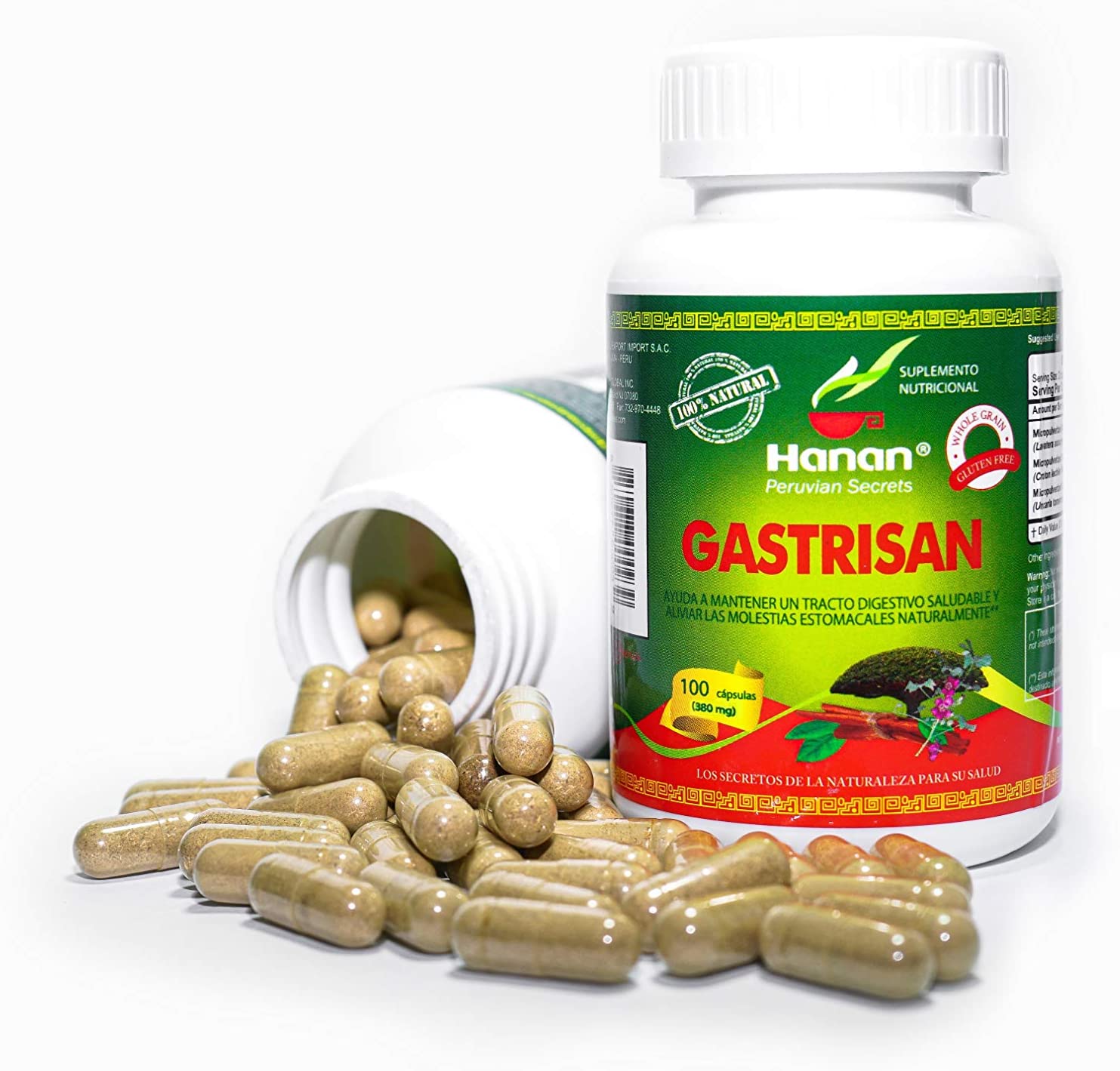 Gastrisan Gastric Cleanser Blend | 100 Capsules | Naturally Aids in Supporting Healthy Digestive Tract